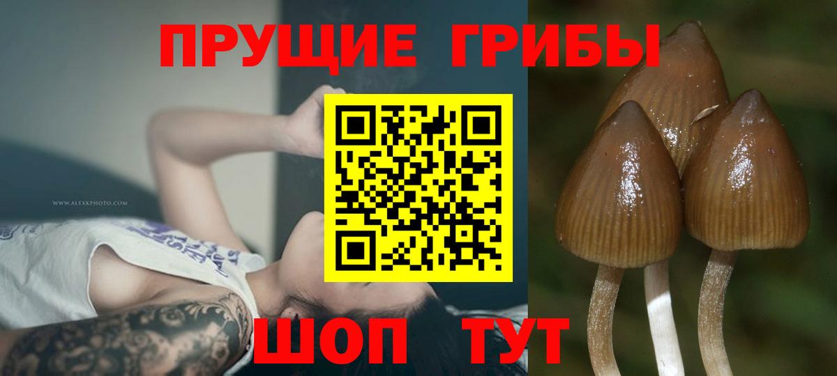 Галлюциногенные грибы Cubensis  Галлюциногенные грибы Magic Shrooms  Белорецк  Вход с VPN 